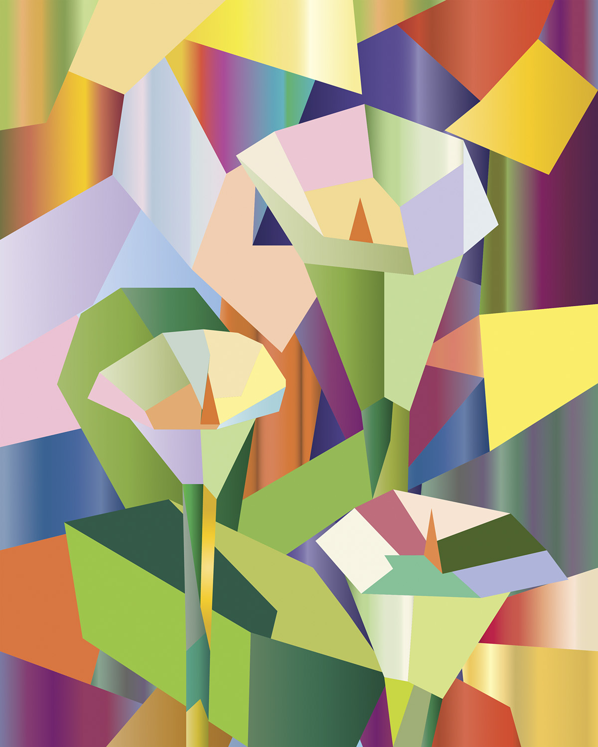 Calla Lilies