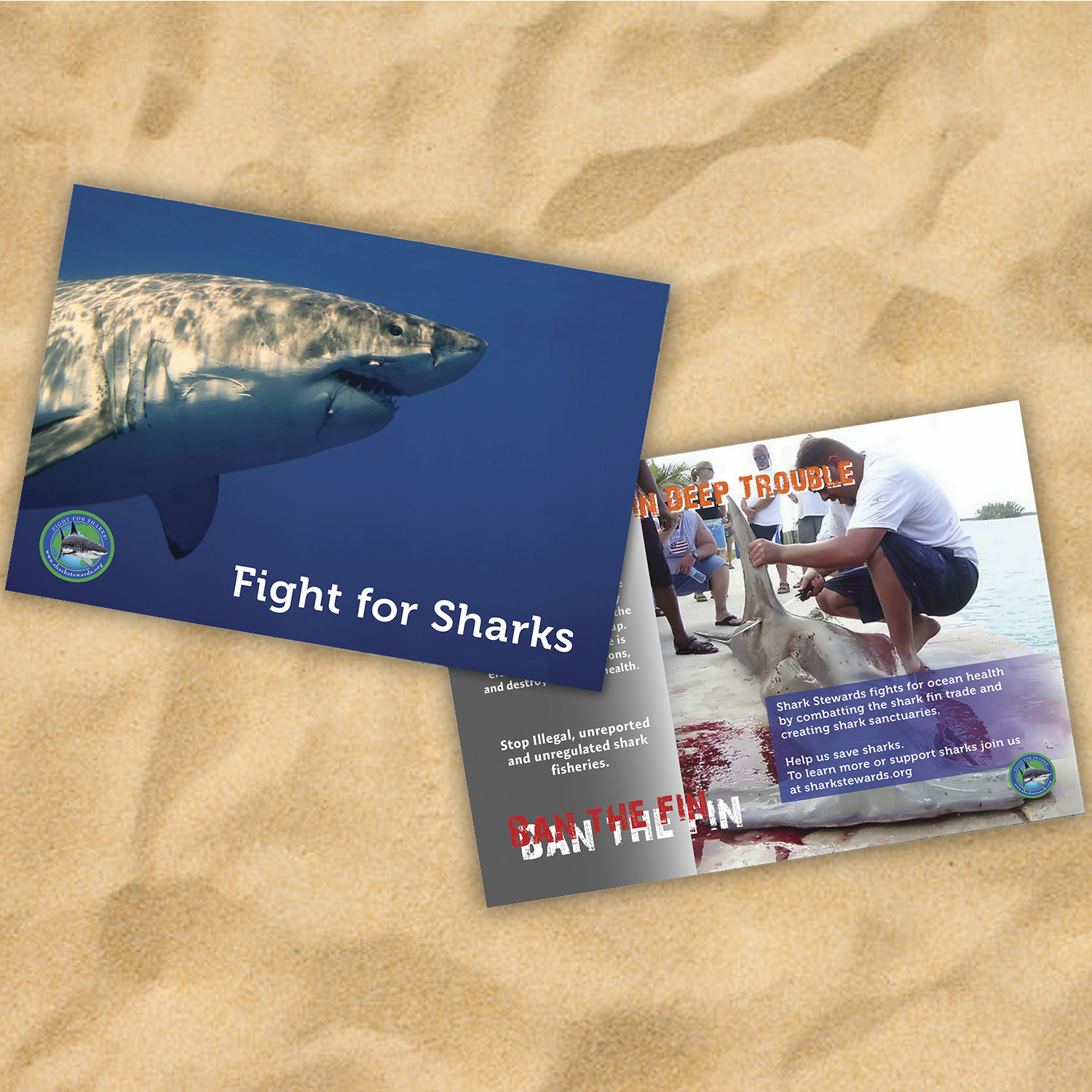 Ban Shark Finning Postcard