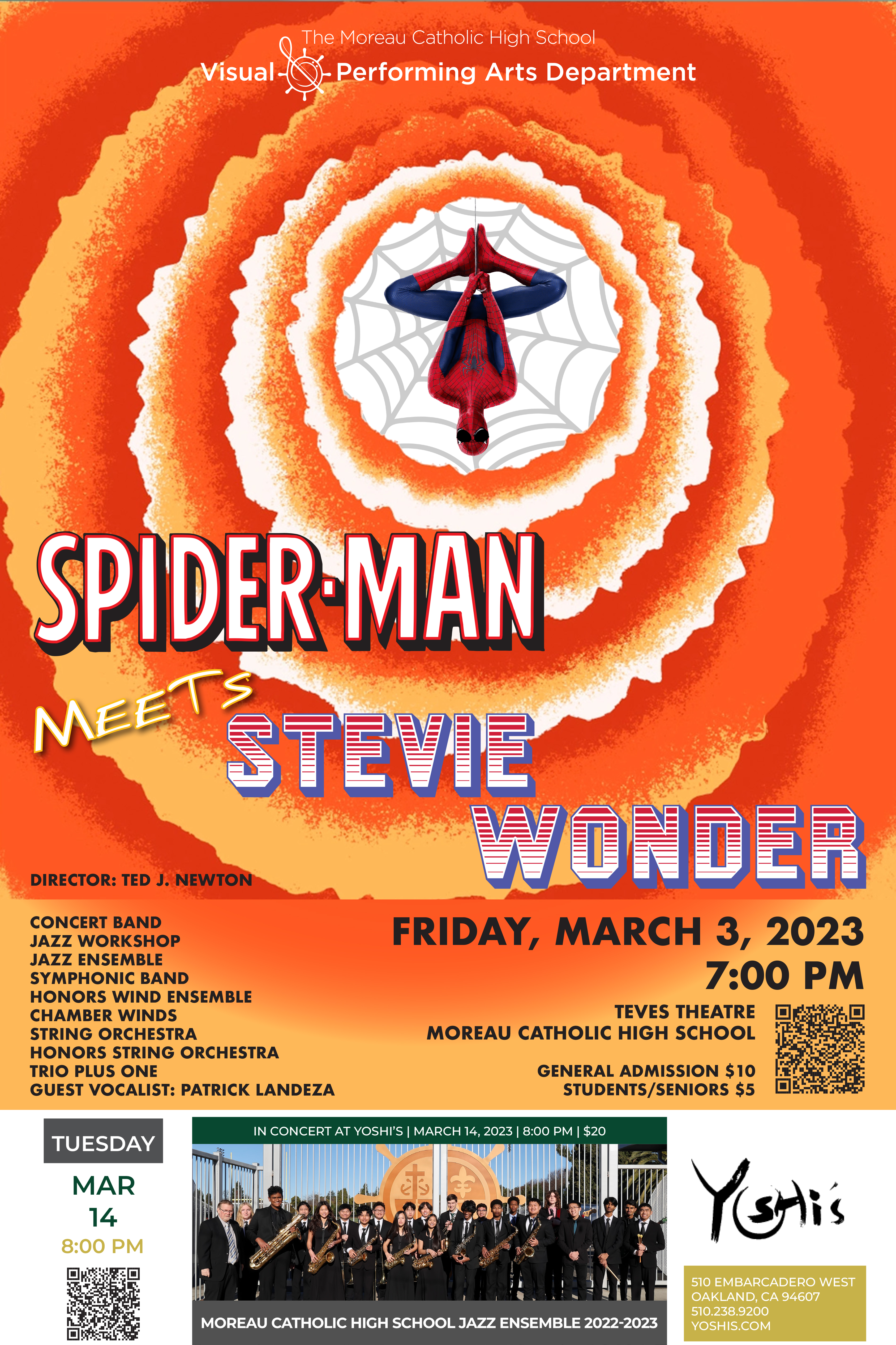 Spider-man Meets Stevie Wonder Band Poster